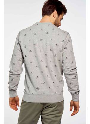 Sweat-shirt gris PETROL INDUSTRIES homme