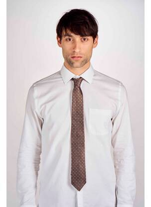 Cravate marron LE FABULEUX MARCEL DE BRUXELLES homme