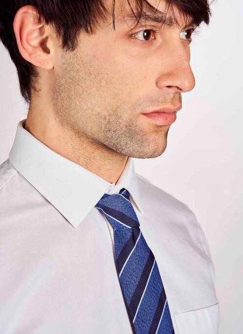 Cravate bleu LE FABULEUX MARCEL DE BRUXELLES homme