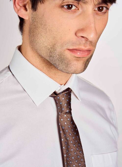 Cravate marron LE FABULEUX MARCEL DE BRUXELLES pour homme