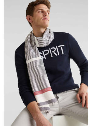 Foulard bleu ESPRIT homme