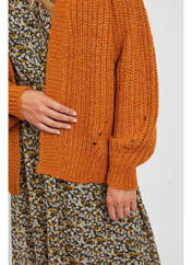 Gilet manches longues marron VILA pour femme seconde vue