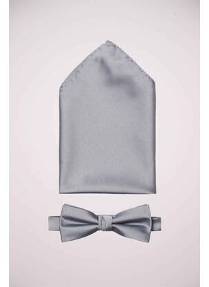 Noeud papillon gris SELECTED homme