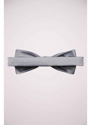Noeud papillon gris SELECTED homme
