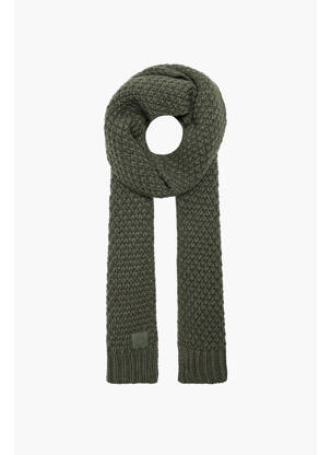 Echarpe vert ONLY&SONS pour homme