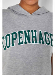 Sweat-shirt à capuche gris NOISY MAY pour femme seconde vue