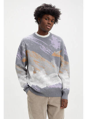 Sweat-shirt beige LEVIS pour homme
