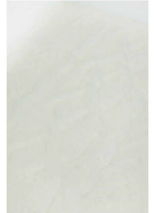 Echarpe blanc TALLY WEIJL femme
