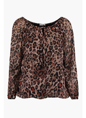 Chemisier marron HAILYS femme
