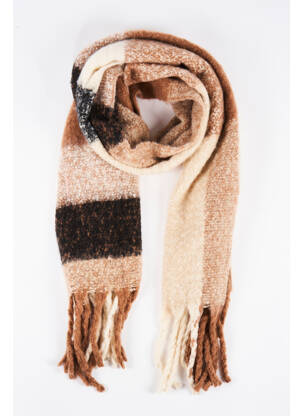 Echarpe marron HAILYS femme