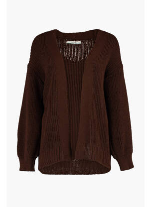 Gilet manches longues marron HAILYS femme