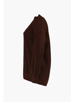 Gilet manches longues marron HAILYS femme