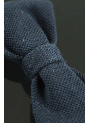Noeud papillon bleu GARCIA garcon