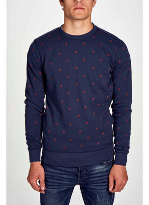 Sweat-shirt bleu PETROL INDUSTRIES pour homme