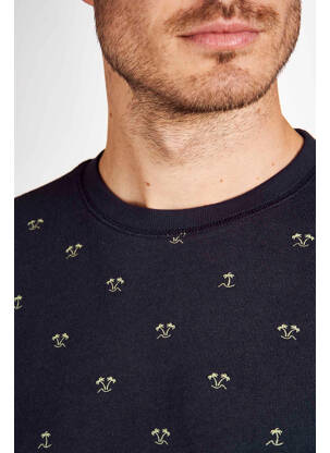 Sweat-shirt bleu PETROL INDUSTRIES homme