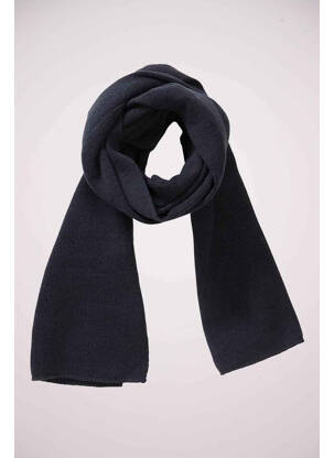 Echarpe bleu PETROL INDUSTRIES homme