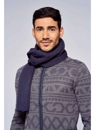 Echarpe bleu PETROL INDUSTRIES homme
