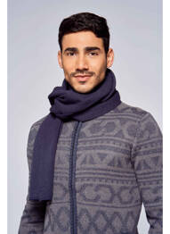 Echarpe bleu PETROL INDUSTRIES homme
