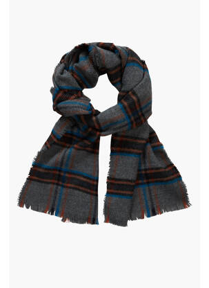 Echarpe gris PETROL INDUSTRIES homme