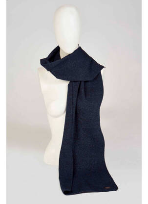 Echarpe bleu PETROL INDUSTRIES homme