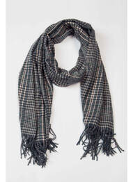 Echarpe bleu HAZE&FINN homme