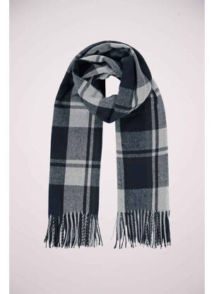 Echarpe gris HAZE&FINN homme