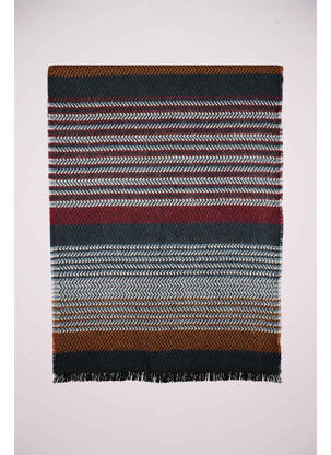 Echarpe multicolore HAZE&FINN homme