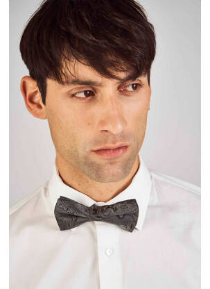 Noeud papillon gris LE FABULEUX MARCEL DE BRUXELLES homme
