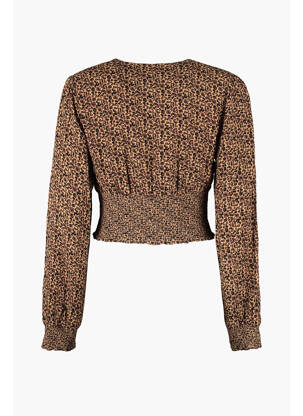 Chemisier marron HAILYS femme