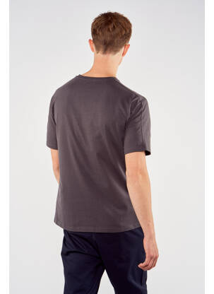 T-shirt gris TOURIST LEMC homme