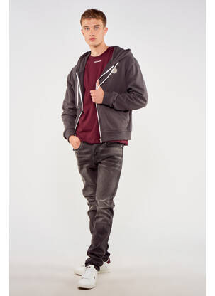 Sweat-shirt à capuche gris TOURIST LEMC pour homme