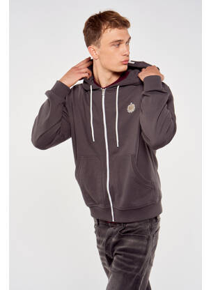 Sweat-shirt à capuche gris TOURIST LEMC homme