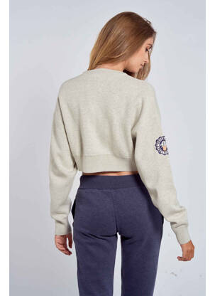 Pull gris SUPERDRY femme