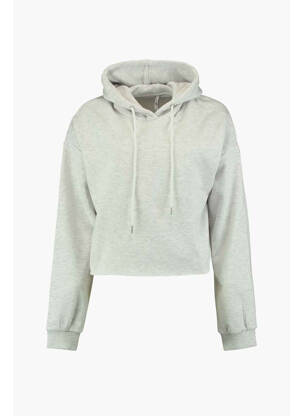 Sweat-shirt à capuche gris HAILYS femme