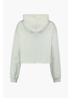 Sweat-shirt à capuche gris HAILYS femme