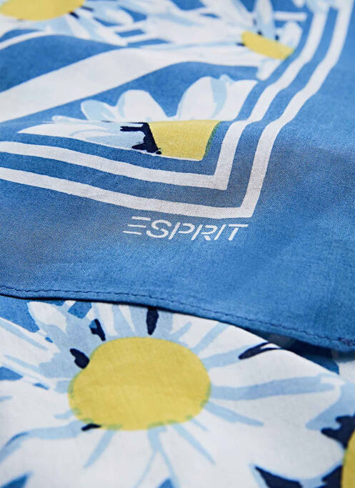 Foulard bleu ESPRIT femme