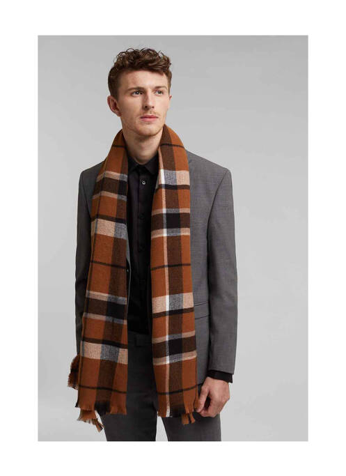 Echarpe marron ESPRIT homme
