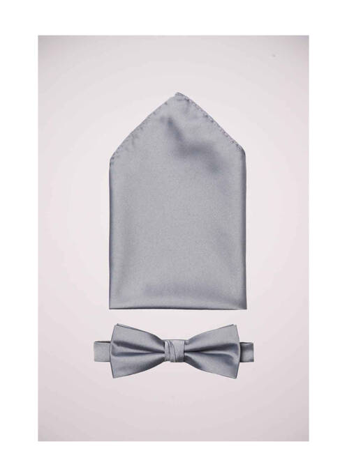 Noeud papillon gris SELECTED homme