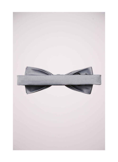 Noeud papillon gris SELECTED homme