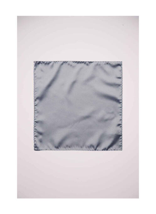 Noeud papillon gris SELECTED homme