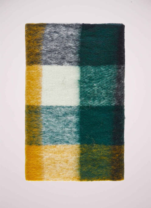 Echarpe vert PIECES pour femme