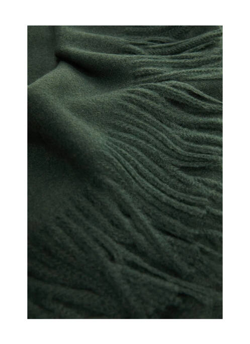 Echarpe vert MANGO femme