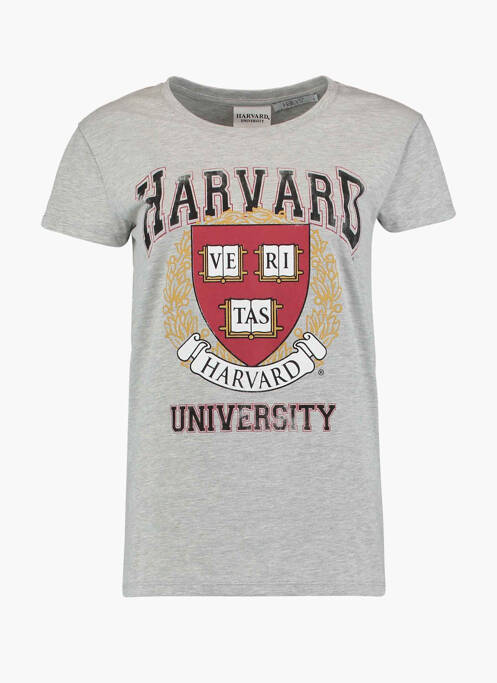 Top gris HAILYS pour femme
