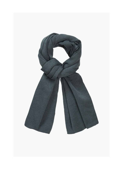 Echarpe gris PETROL INDUSTRIES garçon