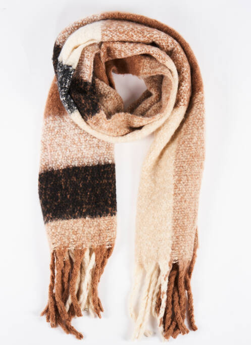 Echarpe marron HAILYS femme