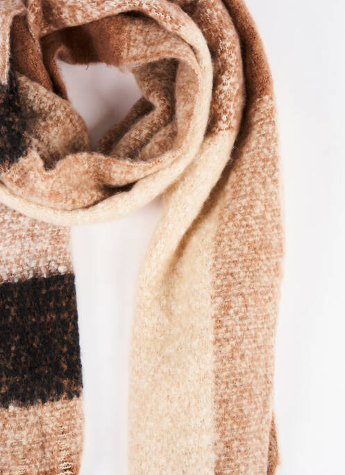 Echarpe marron HAILYS femme