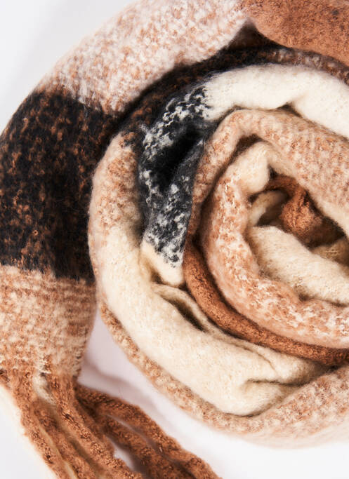 Echarpe marron HAILYS femme