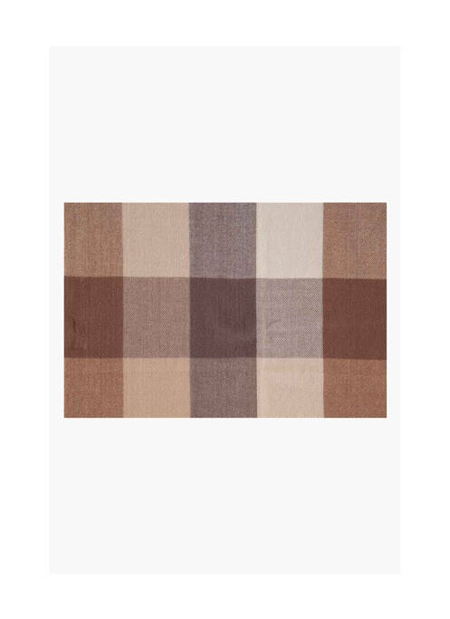 Echarpe marron ZABAIONE femme