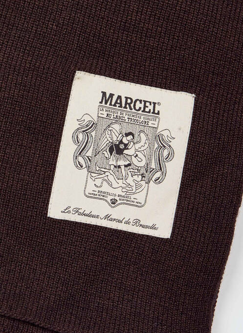 Echarpe marron LE FABULEUX MARCEL DE BRUXELLES pour homme
