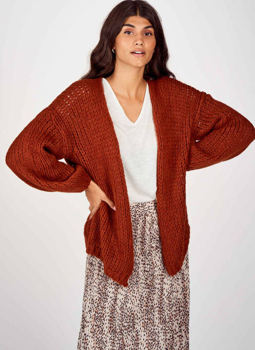 Gilet manches longues marron BELLITA pour femme